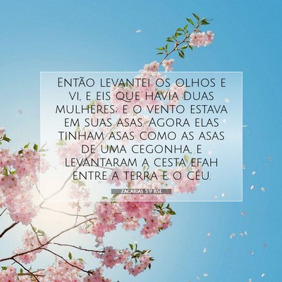 Picture 07 - Zacarias 5:9 BSL - Então levantei os olhos e vi, e eis que havia - Bible Verse Picture