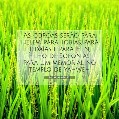 Picture 07 - Zacarias 6:14 BSL - As coroas serão para Helem, para Tobias, para - Bible Verse Picture