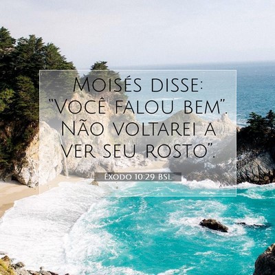 Picture 07 - Êxodo 10:29 BSL - Moisés disse: “Você falou bem”. Não - Bible Verse Picture