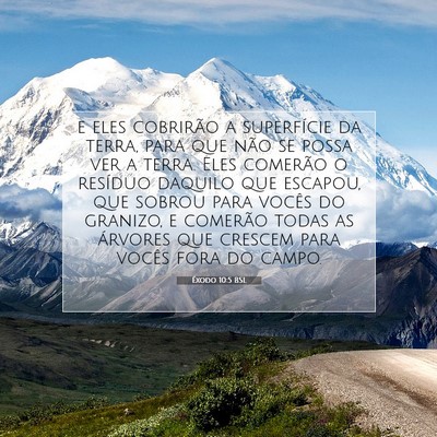 Picture 07 - Êxodo 10:5 BSL - e eles cobrirão a superfície da terra, para que - Bible Verse Picture