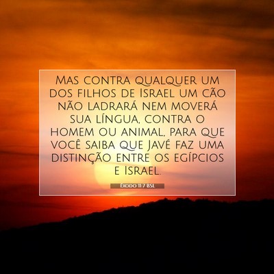 Picture 07 - Êxodo 11:7 BSL - Mas contra qualquer um dos filhos de Israel um - Bible Verse Picture