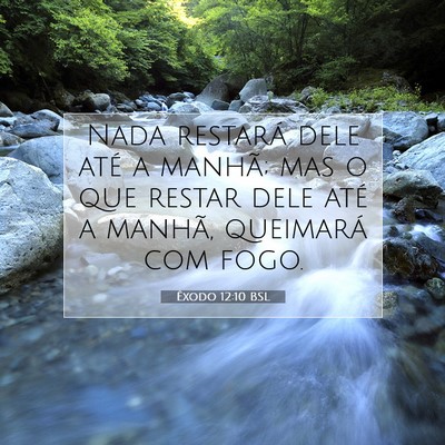 Picture 07 - Êxodo 12:10 BSL - Nada restará dele até a manhã; mas o que - Bible Verse Picture