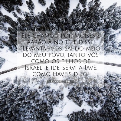 Picture 07 - Êxodo 12:31 BSL - Ele chamou por Moisés e Aarão à noite, e - Bible Verse Picture