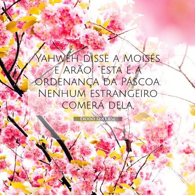 Picture 07 - Êxodo 12:43 BSL - Yahweh disse a Moisés e Arão: “Esta é a - Bible Verse Picture
