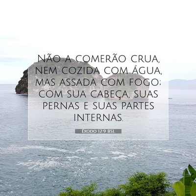 Picture 07 - Êxodo 12:9 BSL - Não a comerão crua, nem cozida com água, mas - Bible Verse Picture