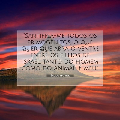 Picture 07 - Êxodo 13:2 BSL - “Santifica-me todos os primogênitos, o que - Bible Verse Picture