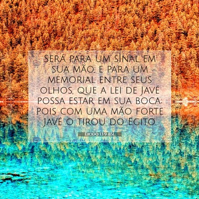 Picture 07 - Êxodo 13:9 BSL - Será para um sinal em sua mão, e para um - Bible Verse Picture