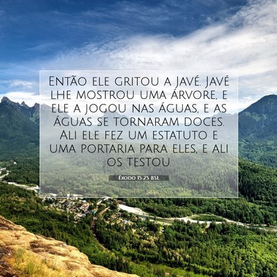 Picture 07 - Êxodo 15:25 BSL - Então ele gritou a Javé. Javé lhe mostrou uma - Bible Verse Picture