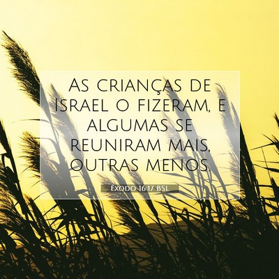 Picture 07 - Êxodo 16:17 BSL - As crianças de Israel o fizeram, e algumas se - Bible Verse Picture