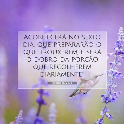 Picture 07 - Êxodo 16:5 BSL - Acontecerá no sexto dia, que prepararão o que - Bible Verse Picture