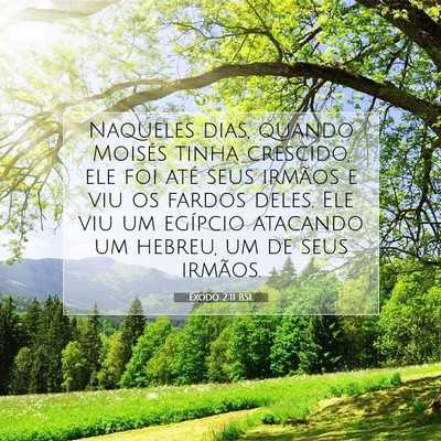 Picture 07 - Êxodo 2:11 BSL - Naqueles dias, quando Moisés tinha crescido, ele - Bible Verse Picture
