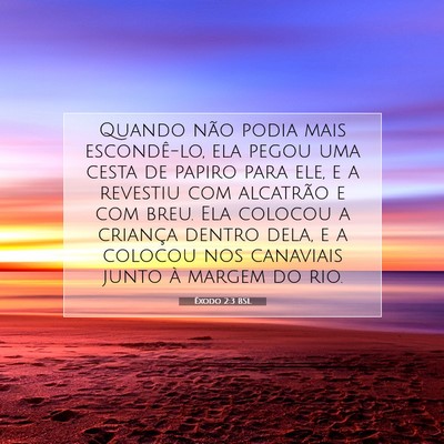 Picture 07 - Êxodo 2:3 BSL - Quando não podia mais escondê-lo, ela pegou uma - Bible Verse Picture