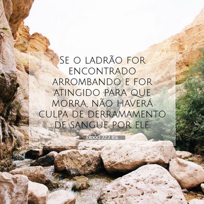 Picture 07 - Êxodo 22:2 BSL - Se o ladrão for encontrado arrombando e for - Bible Verse Picture