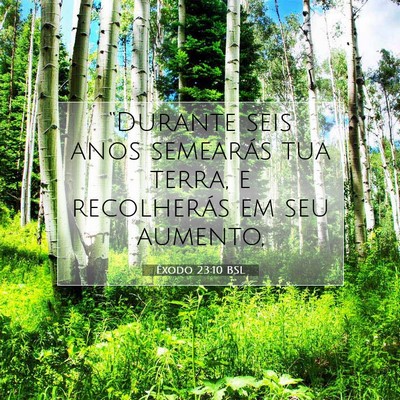 Picture 07 - Êxodo 23:10 BSL - “Durante seis anos semearás tua terra, e - Bible Verse Picture