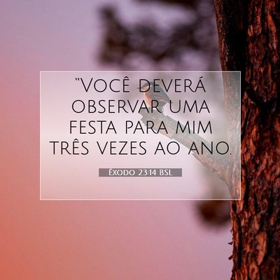 Picture 07 - Êxodo 23:14 BSL - “Você deverá observar uma festa para mim - Bible Verse Picture
