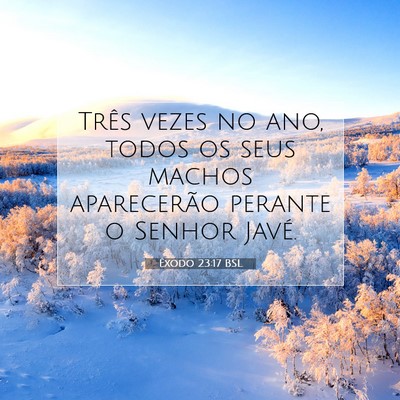 Picture 07 - Êxodo 23:17 BSL - Três vezes no ano, todos os seus machos - Bible Verse Picture