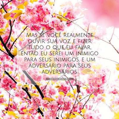 Picture 07 - Êxodo 23:22 BSL - Mas se você realmente ouvir sua voz, e fizer - Bible Verse Picture