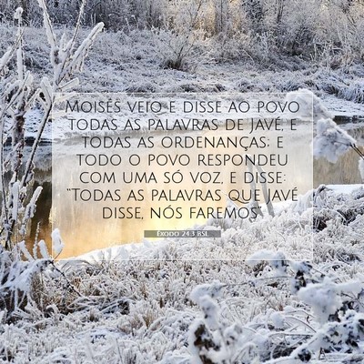 Picture 07 - Êxodo 24:3 BSL - Moisés veio e disse ao povo todas as palavras de - Bible Verse Picture