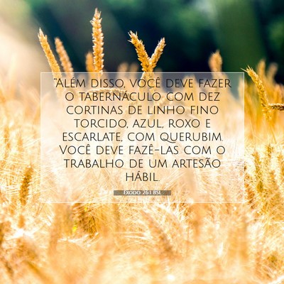 Picture 07 - Êxodo 26:1 BSL - “Além disso, você deve fazer o tabernáculo - Bible Verse Picture
