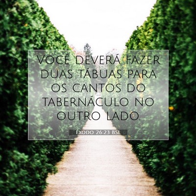 Picture 07 - Êxodo 26:23 BSL - Você deverá fazer duas tábuas para os cantos - Bible Verse Picture