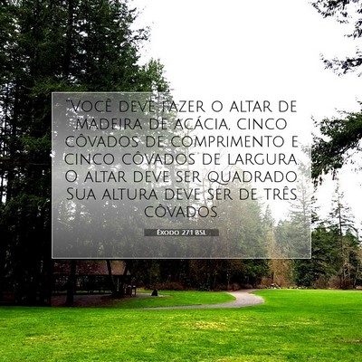 Picture 07 - Êxodo 27:1 BSL - “Você deve fazer o altar de madeira de - Bible Verse Picture