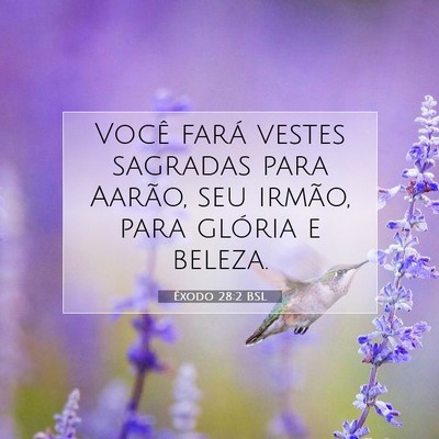 Picture 07 - Êxodo 28:2 BSL - Você fará vestes sagradas para Aarão, seu - Bible Verse Picture
