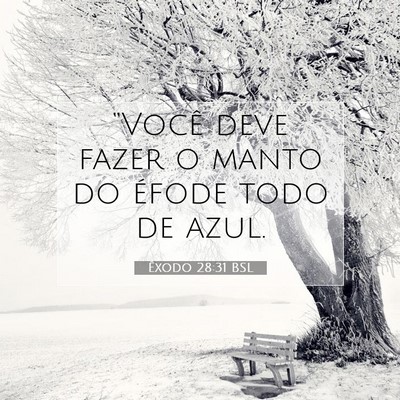 Picture 07 - Êxodo 28:31 BSL - “Você deve fazer o manto do éfode todo de - Bible Verse Picture