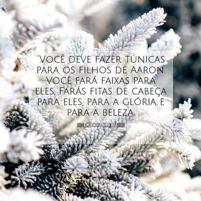 Picture 07 - Êxodo 28:40 BSL - “Você deve fazer túnicas para os filhos de - Bible Verse Picture
