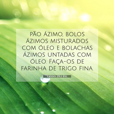 Picture 07 - Êxodo 29:2 BSL - pão ázimo, bolos ázimos misturados com óleo e - Bible Verse Picture