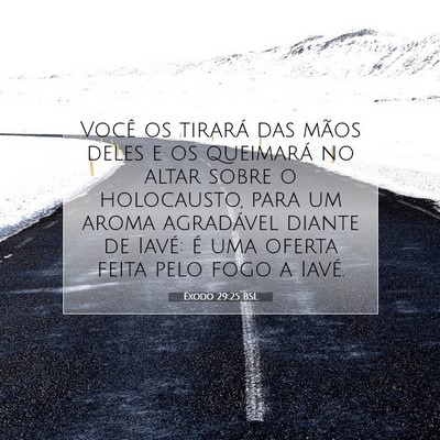 Picture 07 - Êxodo 29:25 BSL - Você os tirará das mãos deles e os queimará - Bible Verse Picture