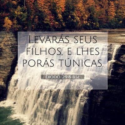 Picture 07 - Êxodo 29:8 BSL - Levarás seus filhos, e lhes porás - Bible Verse Picture
