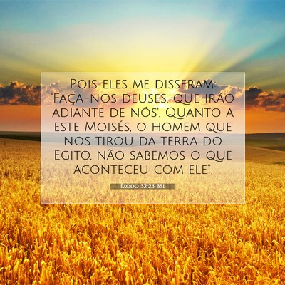 Picture 07 - Êxodo 32:23 BSL - Pois eles me disseram: 'Faça-nos deuses, que - Bible Verse Picture