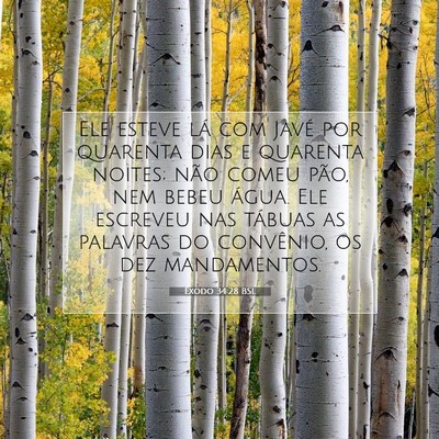 Picture 07 - Êxodo 34:28 BSL - Ele esteve lá com Javé por quarenta dias e - Bible Verse Picture