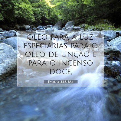 Picture 07 - Êxodo 35:8 BSL - óleo para a luz, especiarias para o óleo de - Bible Verse Picture