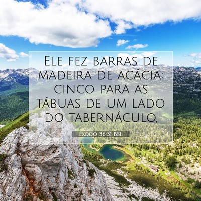 Picture 07 - Êxodo 36:31 BSL - Ele fez barras de madeira de acácia: cinco para - Bible Verse Picture