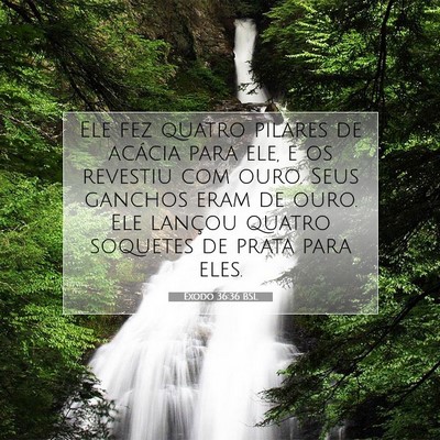 Picture 07 - Êxodo 36:36 BSL - Ele fez quatro pilares de acácia para ele, e os - Bible Verse Picture
