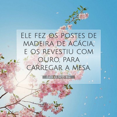 Picture 07 - Êxodo 37:15 BSL - Ele fez os postes de madeira de acácia, e os - Bible Verse Picture