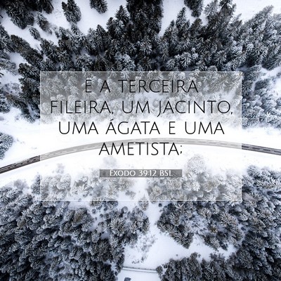 Picture 07 - Êxodo 39:12 BSL - e a terceira fileira, um jacinto, uma ágata e - Bible Verse Picture