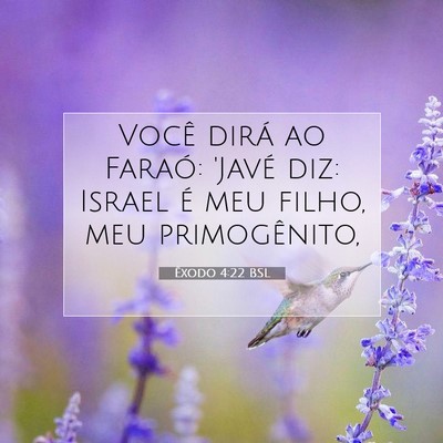 Picture 07 - Êxodo 4:22 BSL - Você dirá ao Faraó: 'Javé diz: Israel é meu - Bible Verse Picture