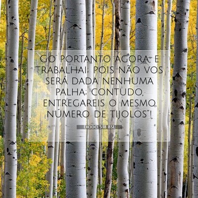 Picture 07 - Êxodo 5:18 BSL - Go portanto agora, e trabalhai; pois não vos - Bible Verse Picture