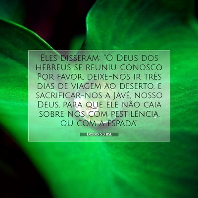 Picture 07 - Êxodo 5:3 BSL - Eles disseram: “O Deus dos hebreus se reuniu - Bible Verse Picture