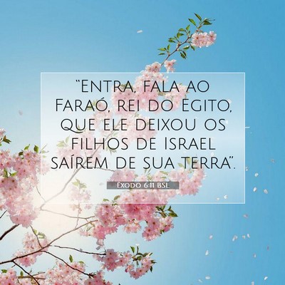 Picture 07 - Êxodo 6:11 BSL - “Entra, fala ao Faraó, rei do Egito, que ele - Bible Verse Picture