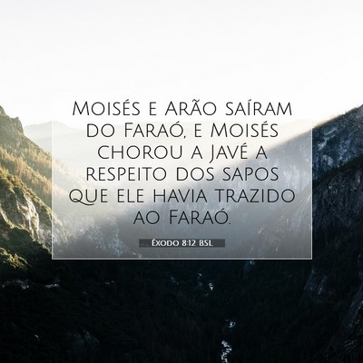 Picture 07 - Êxodo 8:12 BSL - Moisés e Arão saíram do Faraó, e Moisés - Bible Verse Picture