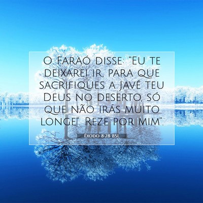 Picture 07 - Êxodo 8:28 BSL - O Faraó disse: “Eu te deixarei ir, para que - Bible Verse Picture