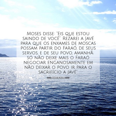 Picture 07 - Êxodo 8:29 BSL - Moses disse: “Eis que estou saindo de você”. - Bible Verse Picture