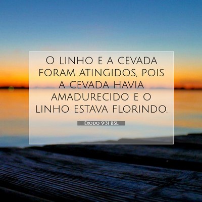 Picture 07 - Êxodo 9:31 BSL - O linho e a cevada foram atingidos, pois a cevada - Bible Verse Picture
