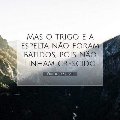 Picture 07 - Êxodo 9:32 BSL - Mas o trigo e a espelta não foram batidos, pois - Bible Verse Picture
