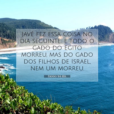Picture 07 - Êxodo 9:6 BSL - Javé fez essa coisa no dia seguinte; e todo o - Bible Verse Picture
