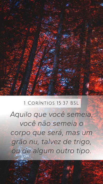 1 Coríntios 15:37 BSL Bible Verse Image