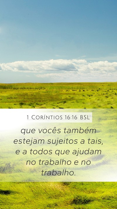 1 Coríntios 16:16 BSL Bible Verse Image